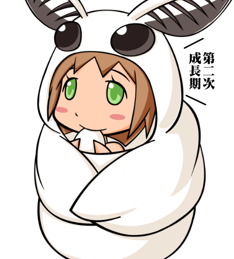 【英語物語キャラ図鑑】おかいこ先輩